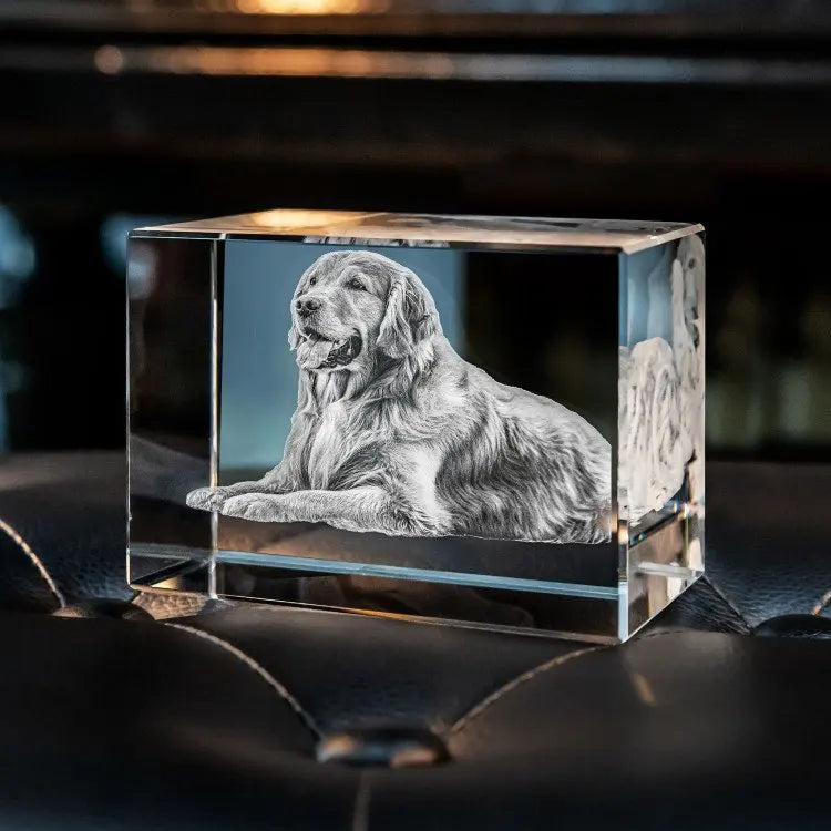 Personalized Sympathy Tribute Custom Gift for Loss of Beloved Pet with Crystal Decor Keepsake Offering for Departed Loved One