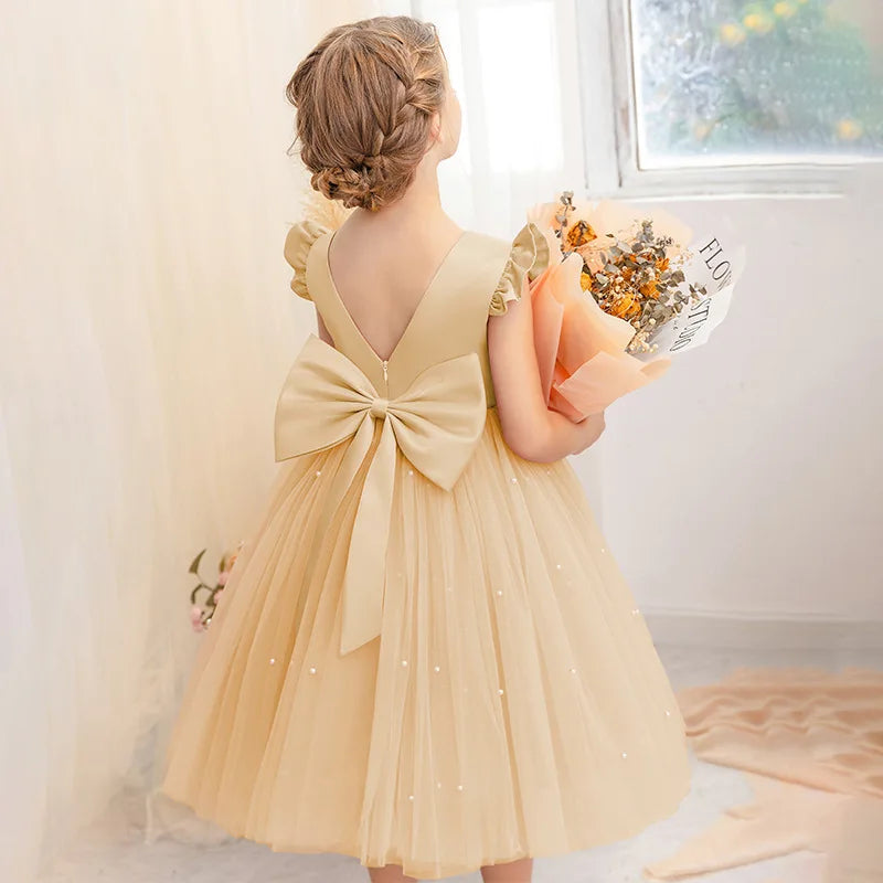 Kids Dresses for Girls Clothes Children's Clothing Fairy Princess Girls Dress Dance Wear Stage Party Lace Cosplay Costumes