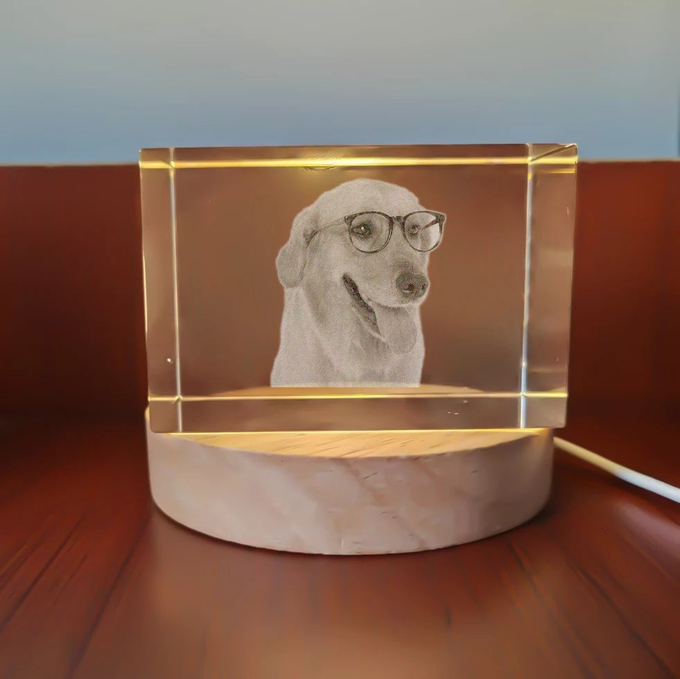 Personalized Sympathy Tribute Custom Gift for Loss of Beloved Pet with  Crystal Decor Keepsake Offering for Departed Loved One