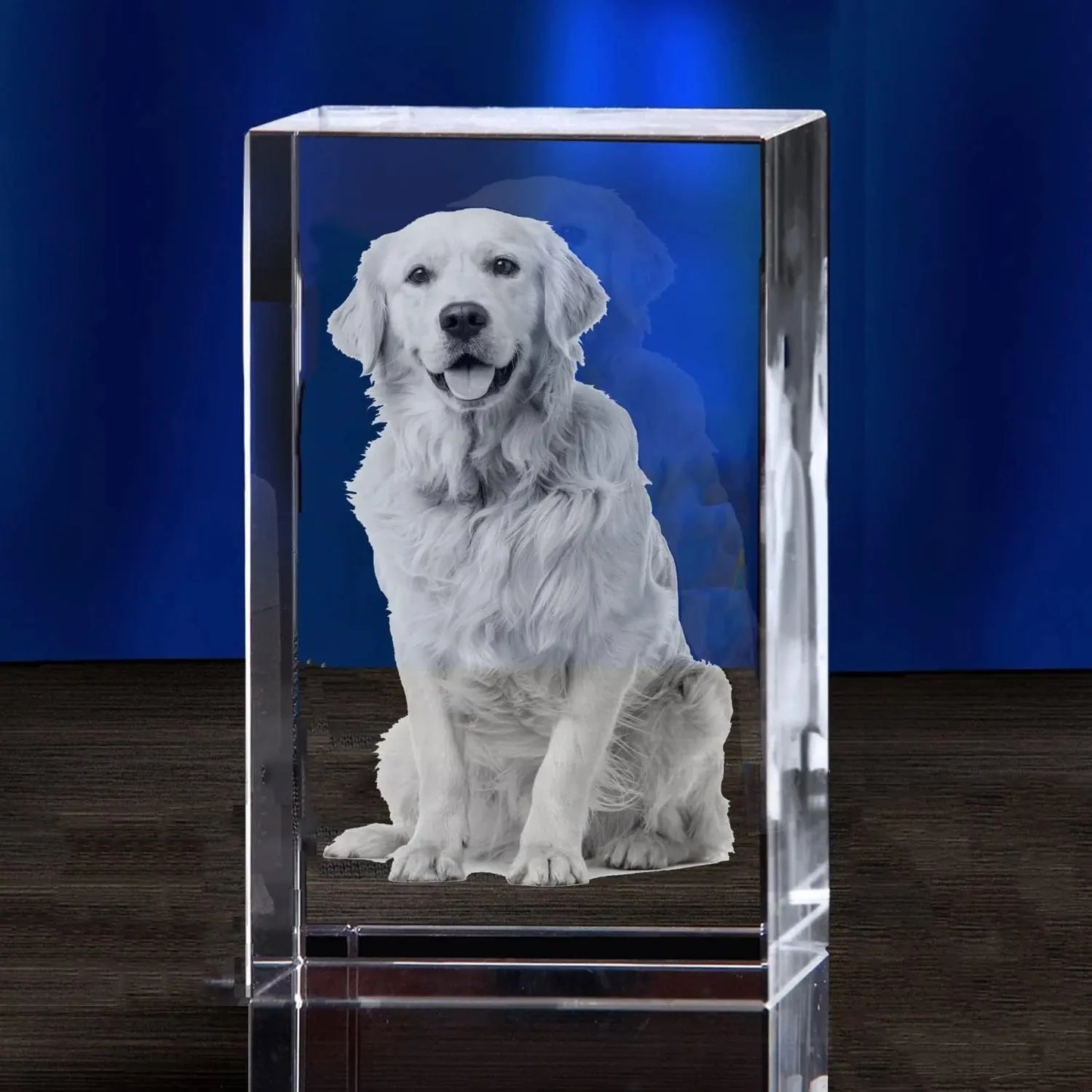 Personalized Sympathy Tribute Custom Gift for Loss of Beloved Pet with  Crystal Decor Keepsake Offering for Departed Loved One