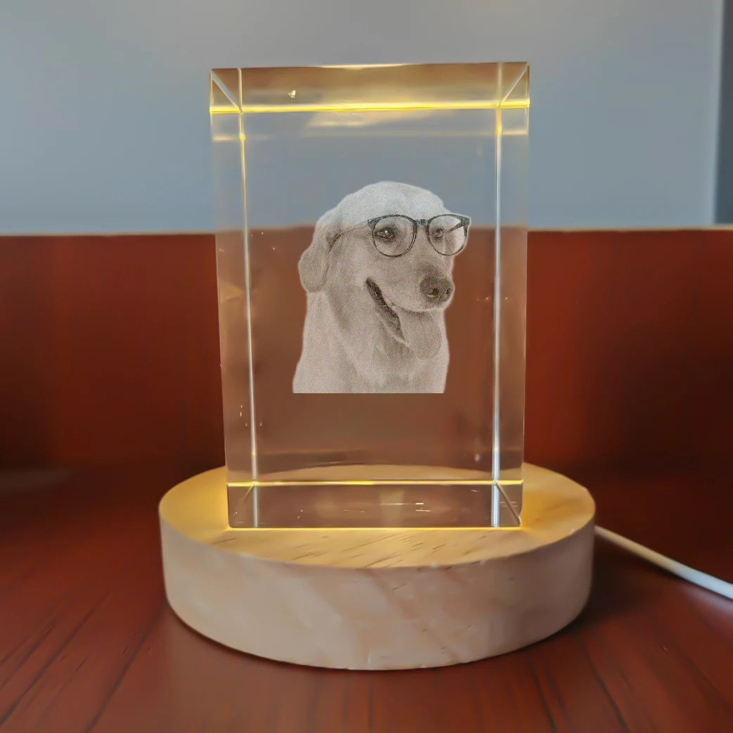 Personalized Sympathy Tribute Custom Gift for Loss of Beloved Pet with  Crystal Decor Keepsake Offering for Departed Loved One